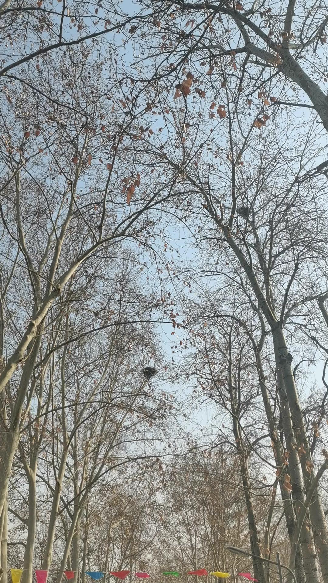 其实一开始觉得有点玄学，但抱着试试看的心态做了这个动作，心里莫名就踏实了不少。可