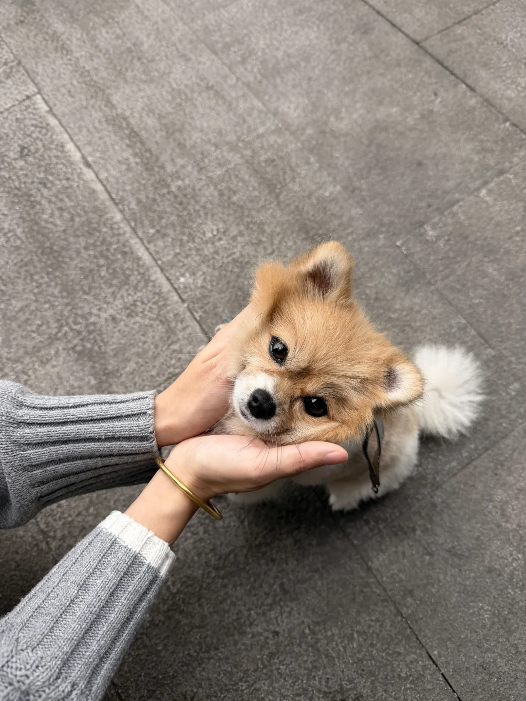 毒妇的心就这样被融化🫠