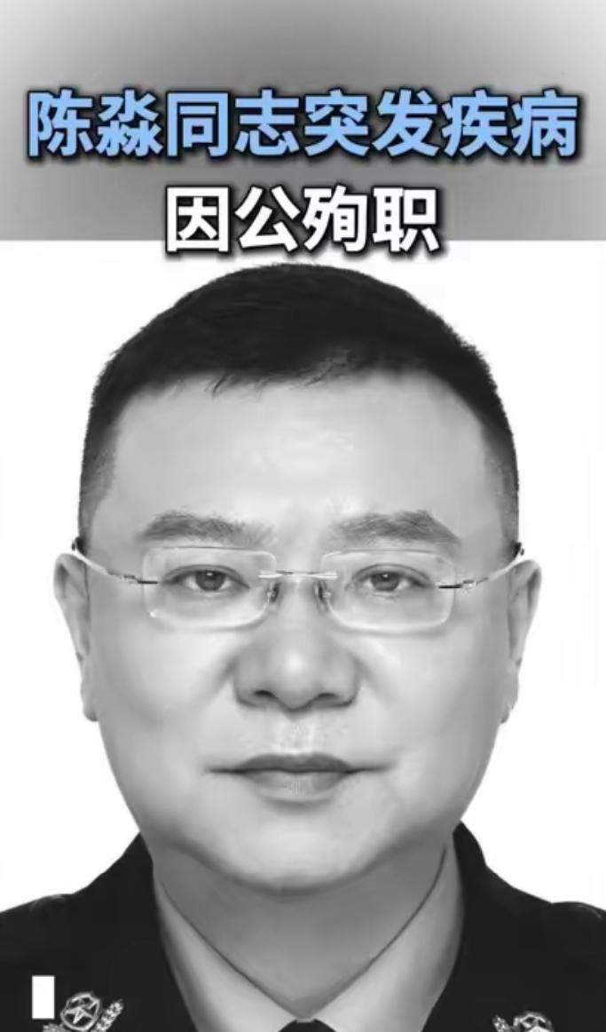 2026年2月20日(大年初四）凌晨，海南省公安厅刑侦总队案件侦查支队副支队长陈