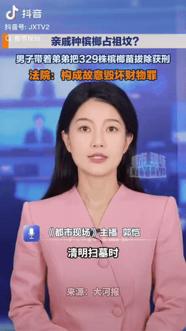 海南，一男子清明扫墓，没想到祖坟周围被亲戚种满槟榔苗，于是他就带弟弟便拔掉了32