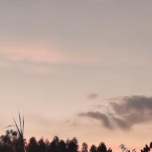 明月的清风在吹