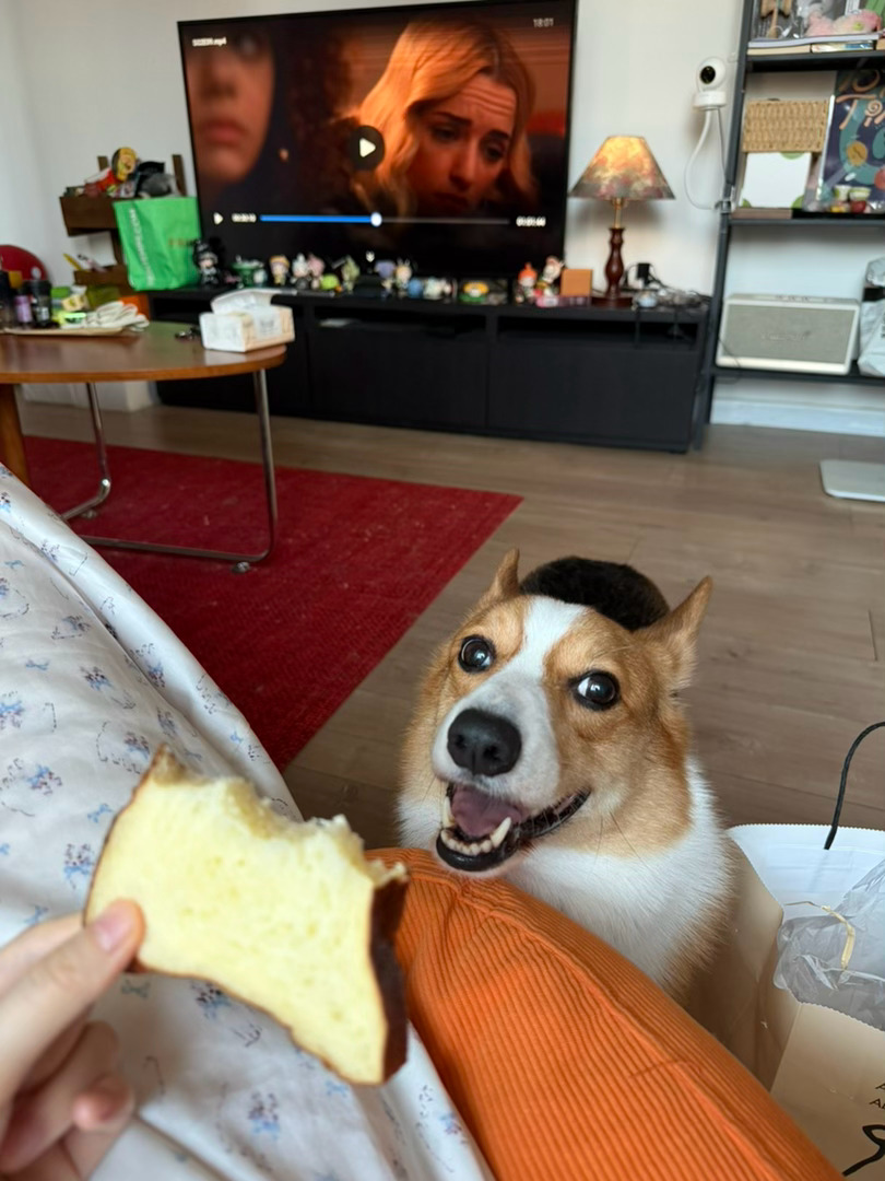 谄媚！ 