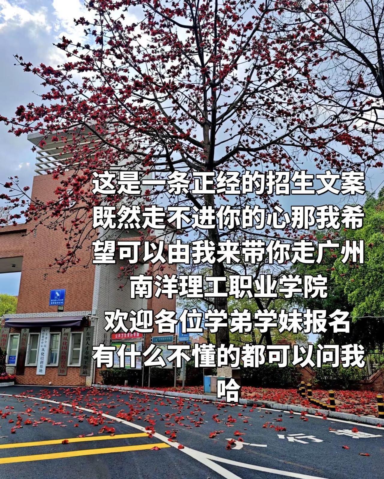 广州南洋理工，等你来呀✨。学长学姐有问必答 高职高考广东 大学校园