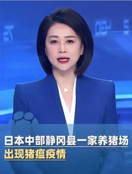 又一起猪瘟疫情暴发！日本静冈县一家养猪场中招，近 3000 头生猪即将被全群扑杀