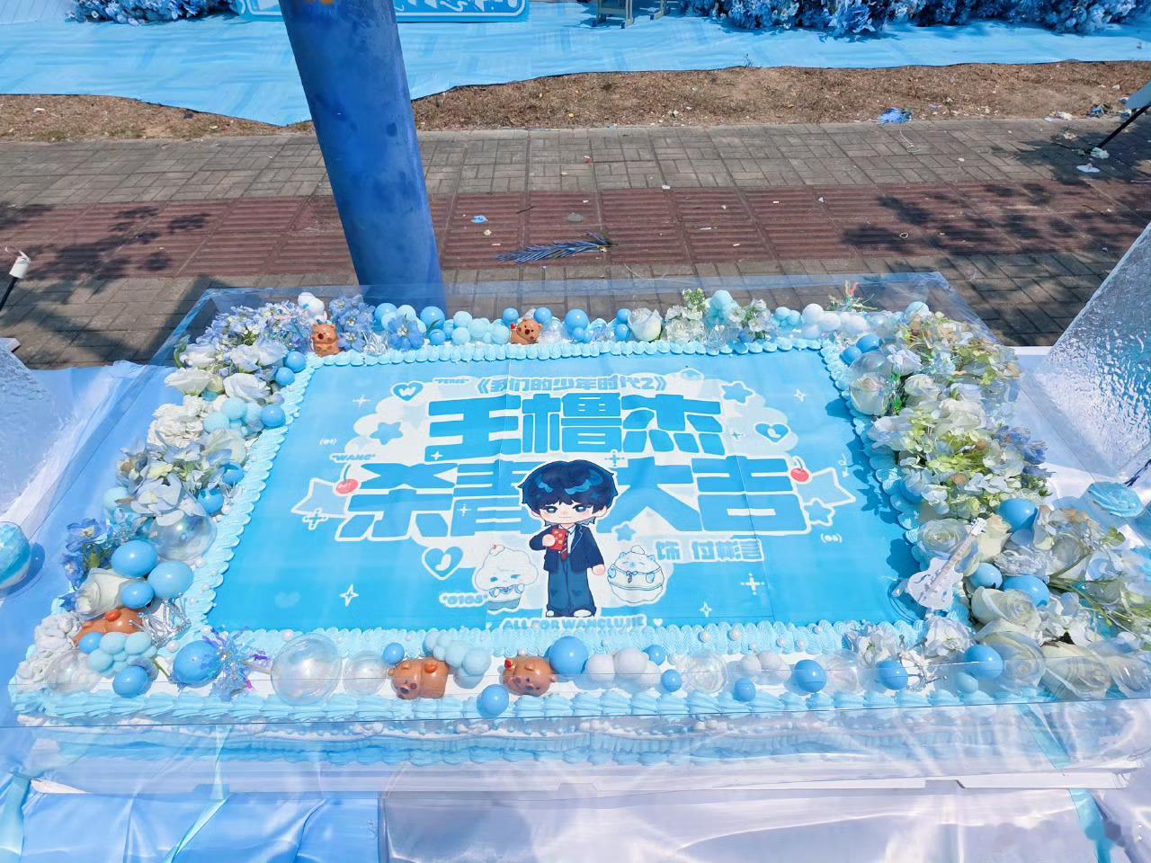 王橹杰王橹杰得杀青应援好棒啊好美的应援 