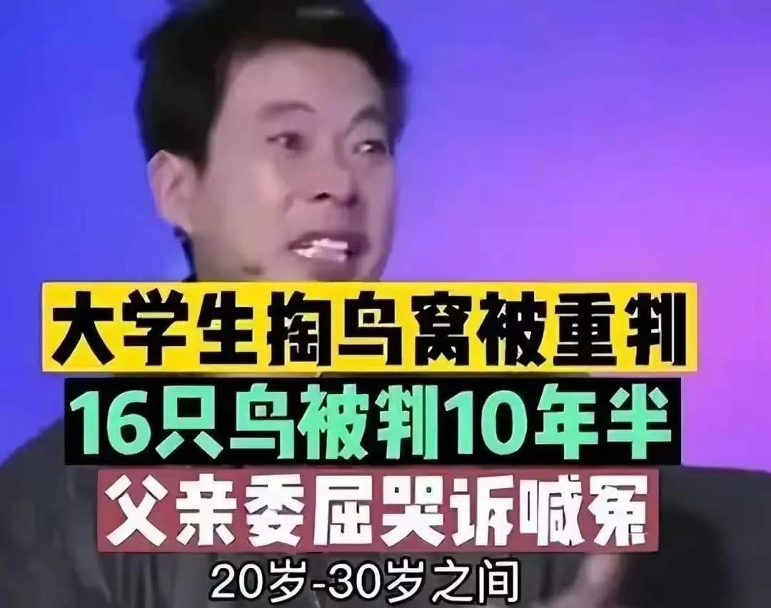 一个掏鸟窝的，被判了10年，一个掏8800万文物的，判了3年。一个偷了18万文物