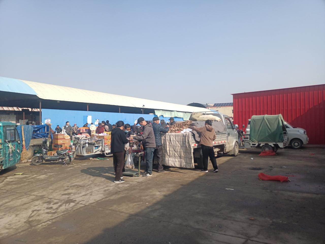 县城附近的农民，骑着电车，把自己种的露天大葱，菠菜，韭菜，蒜苗，理得顺溜干净，准