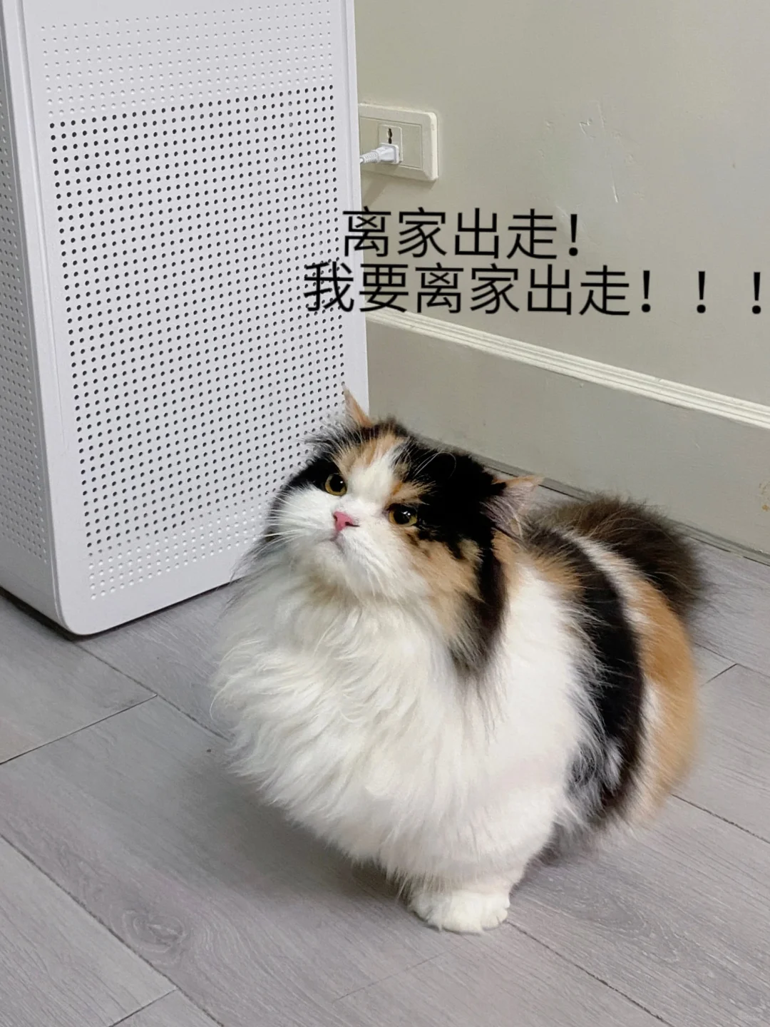 感觉她下一秒就要开口骂我了