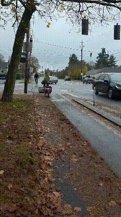 看着不起眼的小车，走过去道面上的树叶就干干净净了，这就是科技推动生产力，一个小发