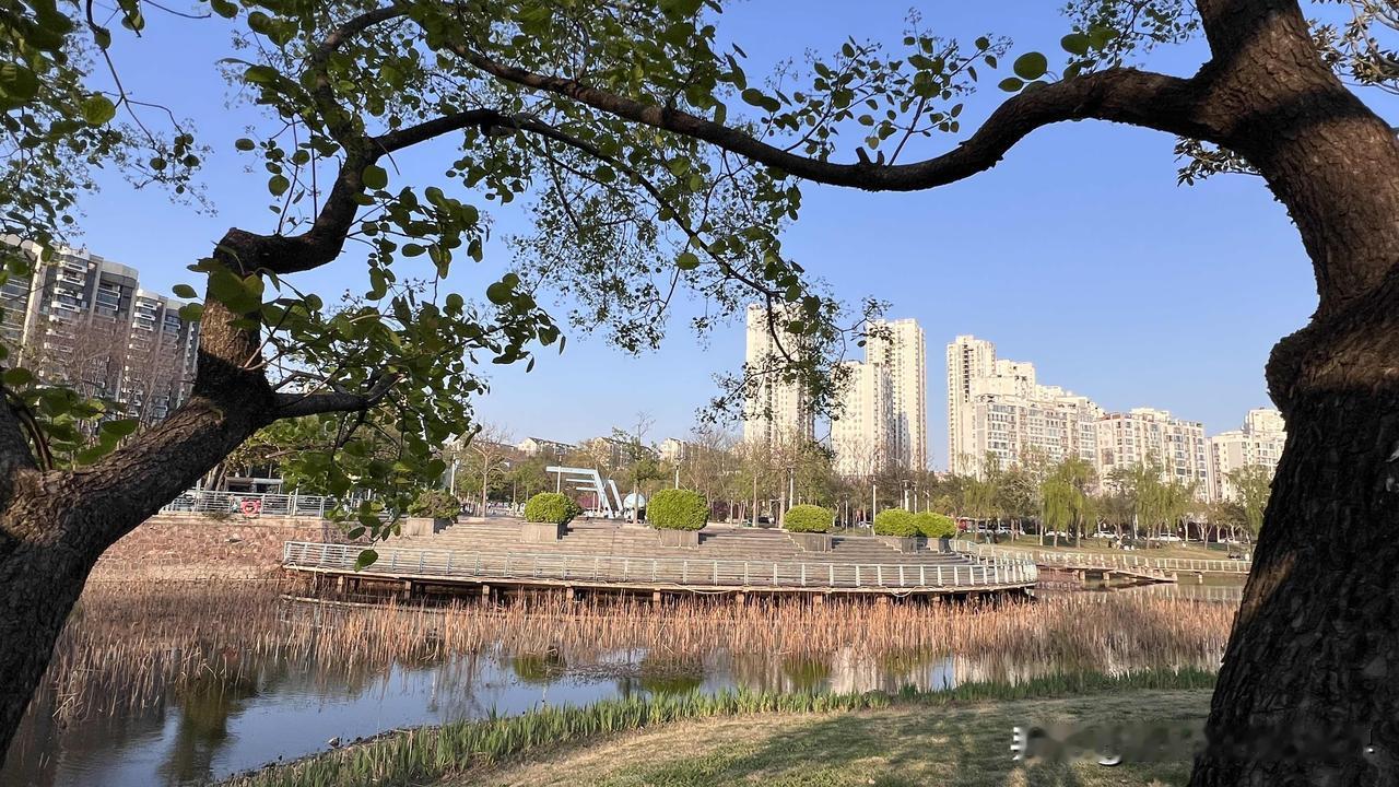 你有没有发现，在平顶山新城区，越来越多的退休老人是“独来独往”，与老城区文化宫附