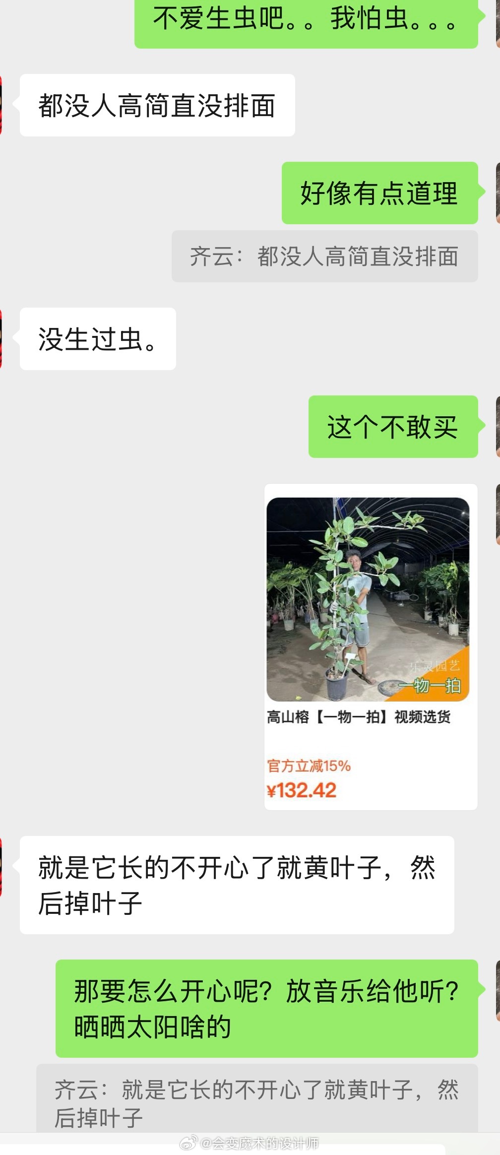 纠结好久高山榕选多高朋友一句话直接点醒我：不够人高的绿植完全没排面树长不痛快还疯