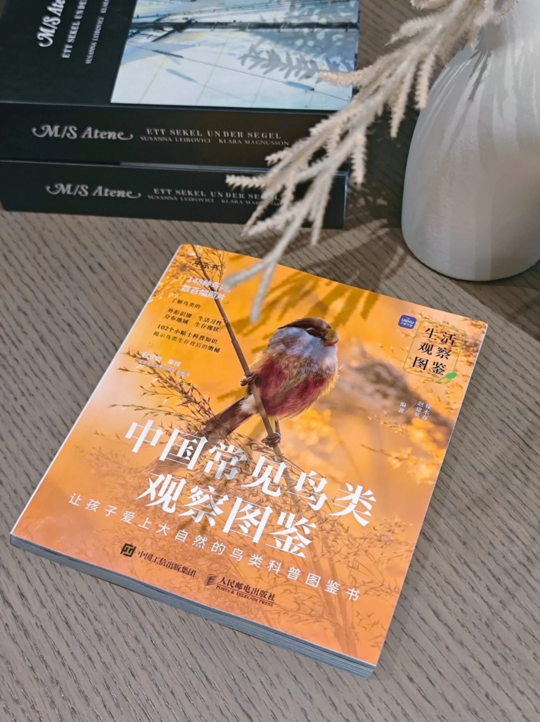 简直绝了！这样的鸟类图鉴真的建议人手一本