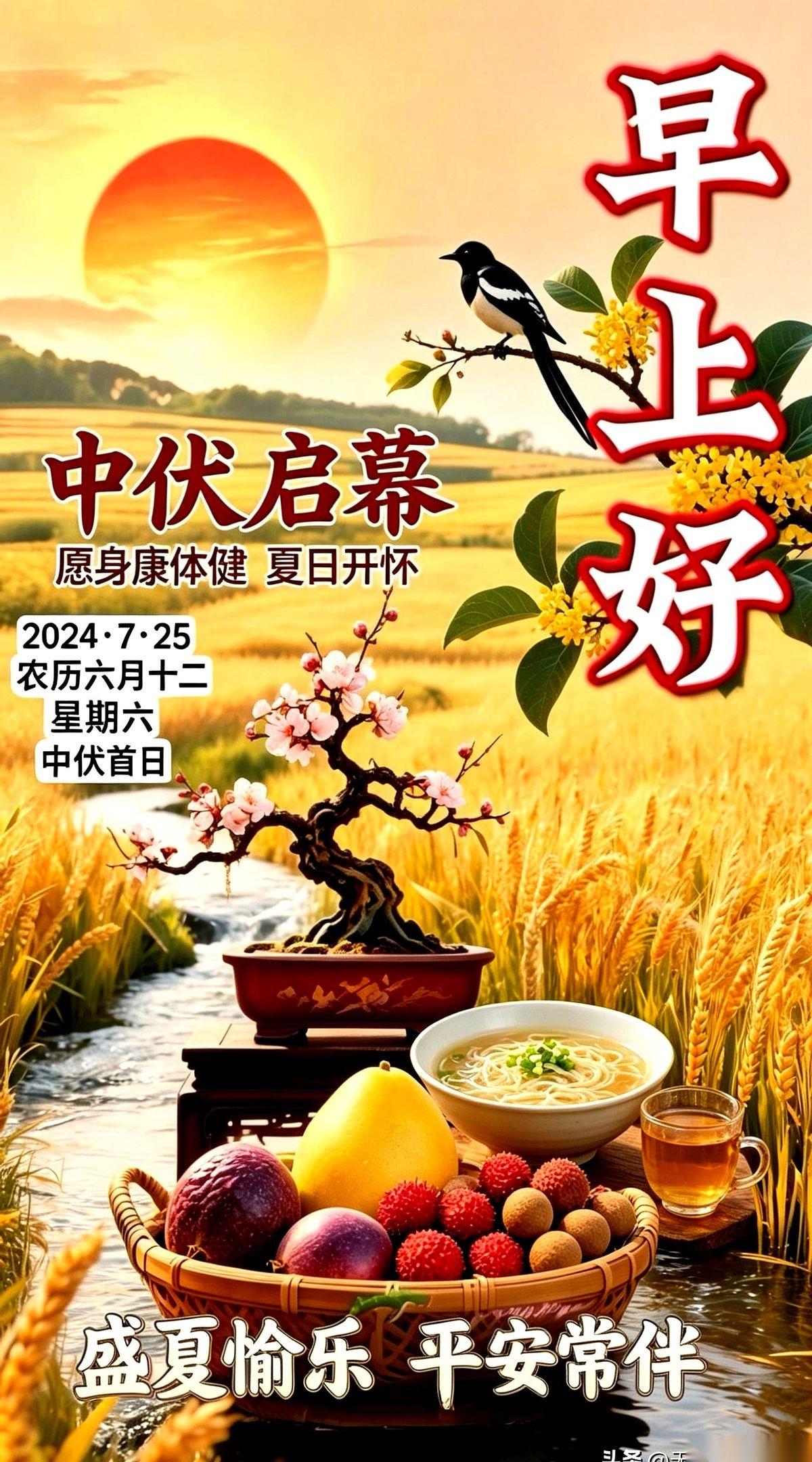 今天7月25号，周六。一推窗户，外头的闷热直接往脖子里钻。
中伏第一天，硬核降临