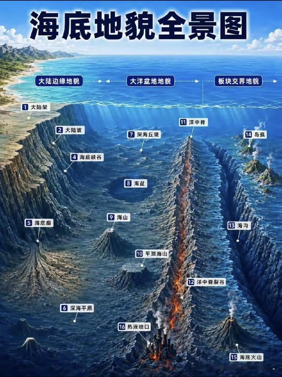 科普一下海底世界