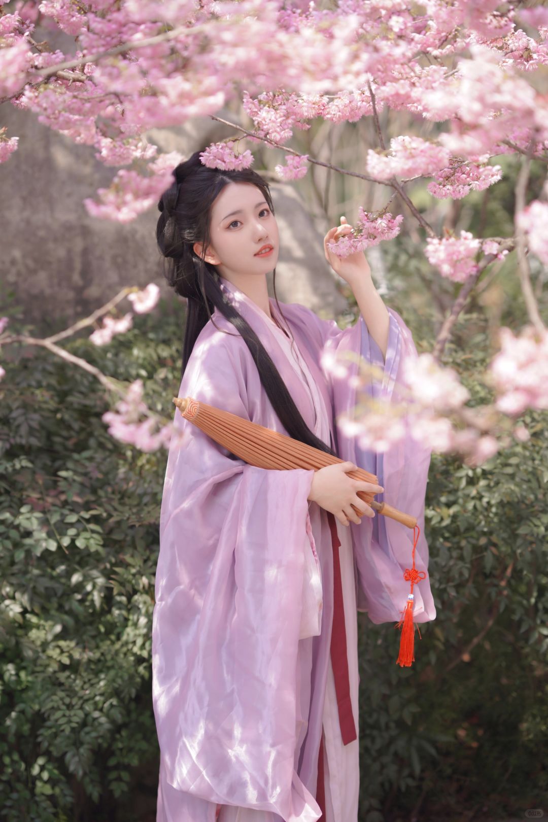 等一人花开～清冷感樱花写真|重庆汉服约拍