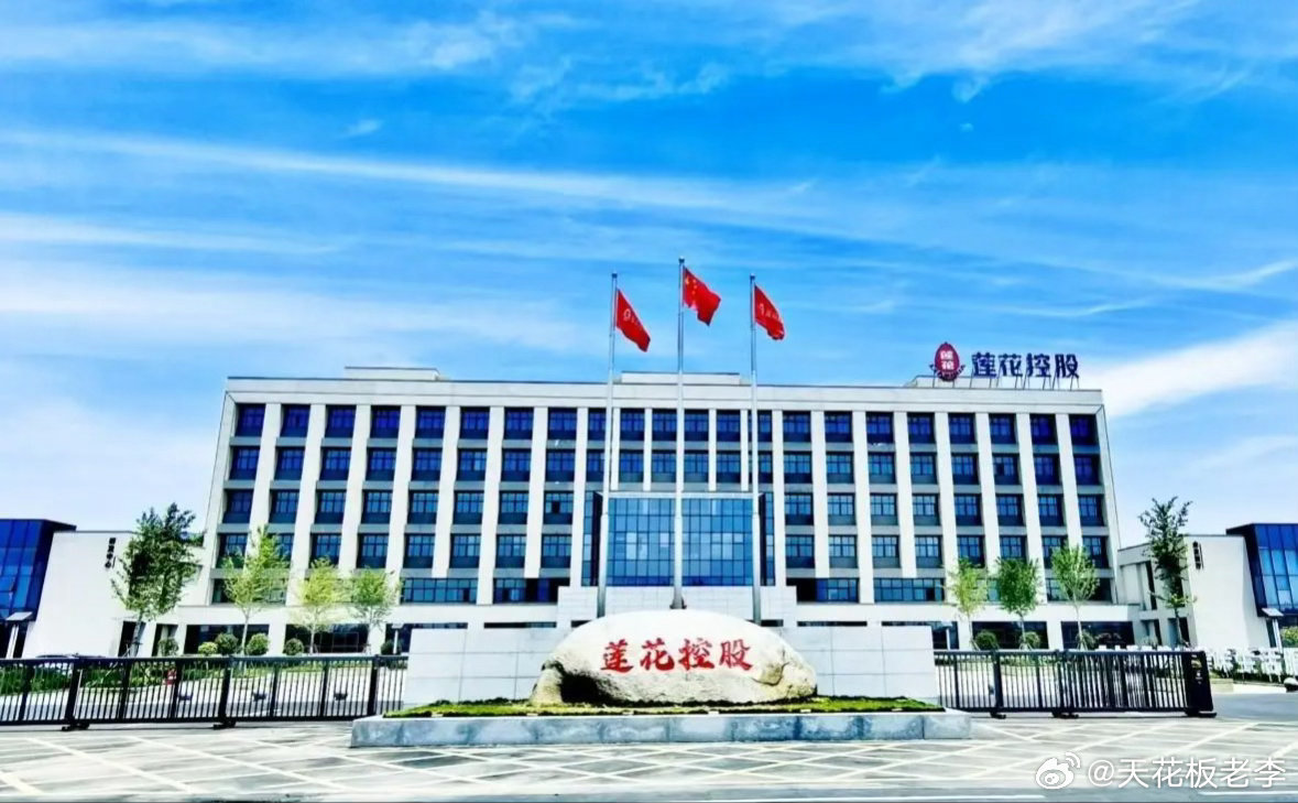 做味精的跑去搞算力租赁，还投资大模型、搞半导体材料。莲花控股这波操作，主打一个“