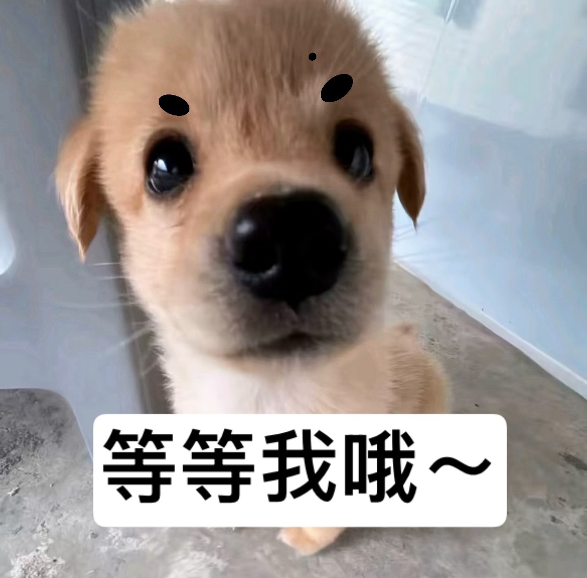 吻吻 