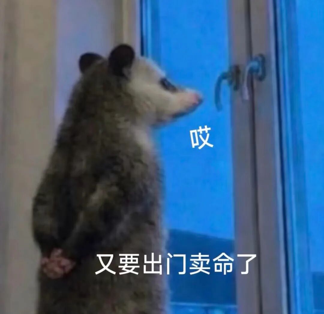 存款不见上涨，体重倒是稳步攀升 