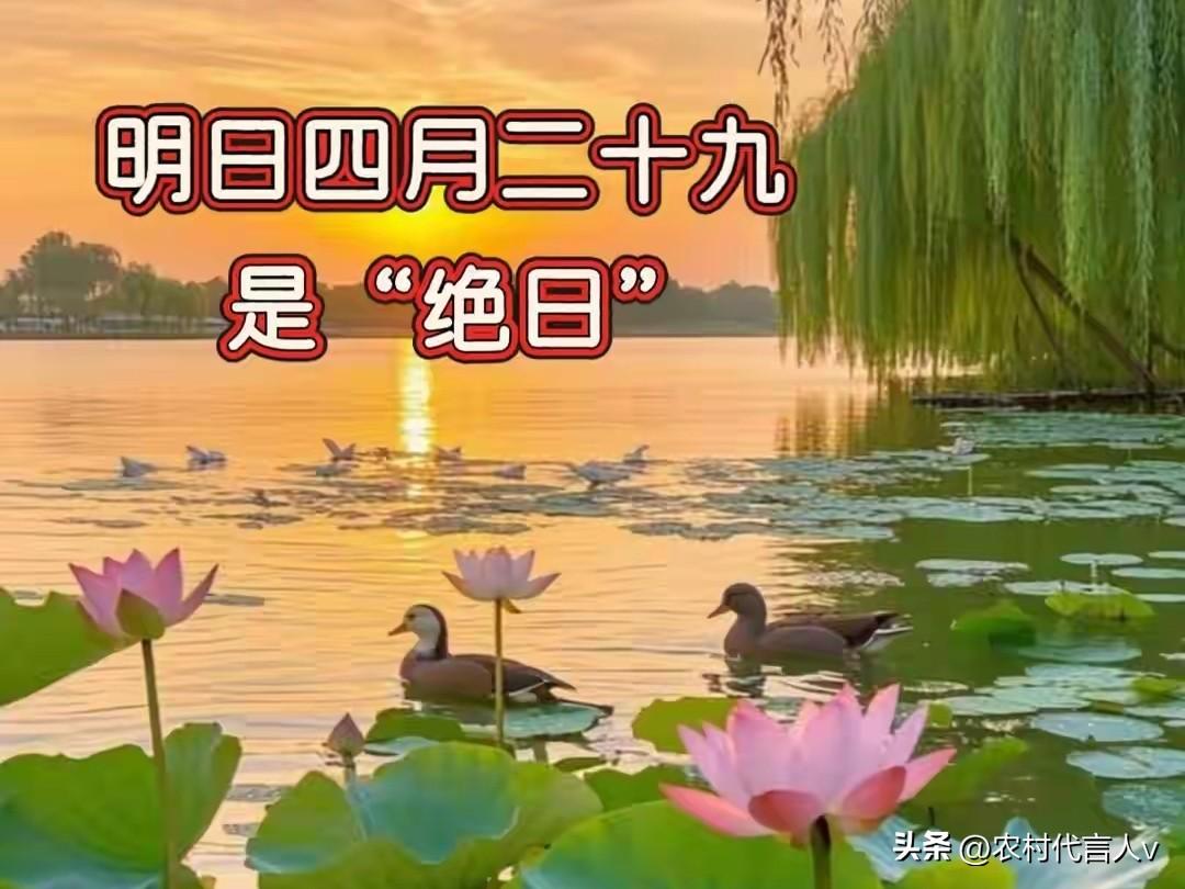 明日四月二十九“绝日”，记得：1不结、2不去、3不开、4要做
 
明天是农历四月
