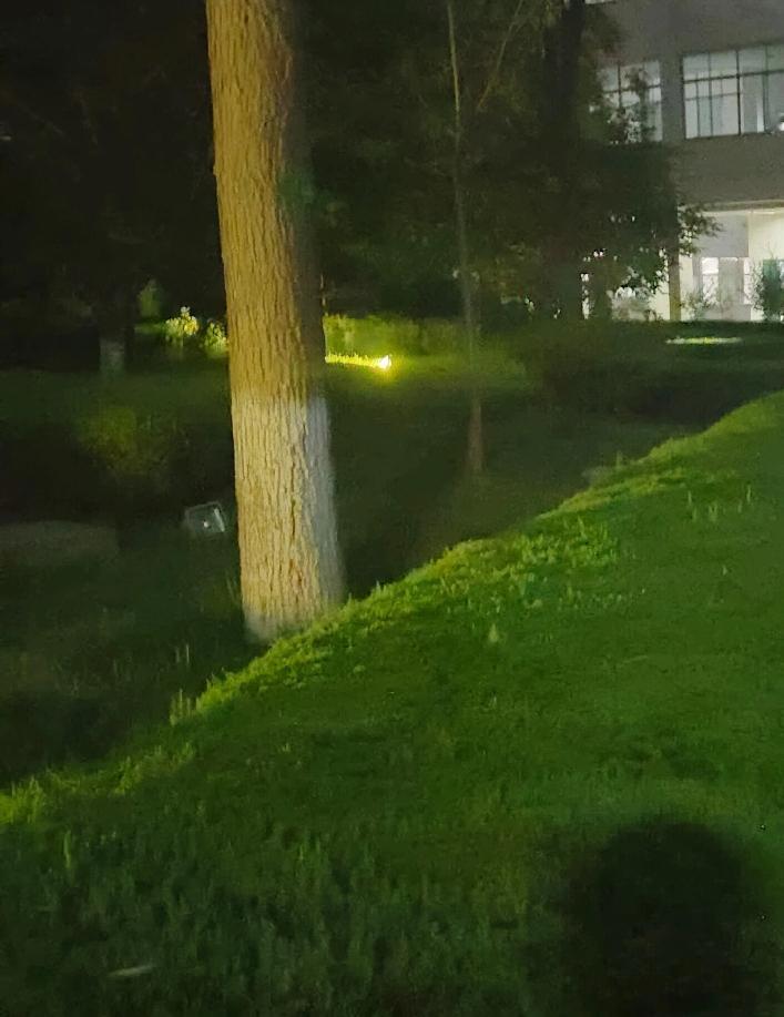 我琢磨了整整一天，这个事到底算得上是好事，还是算得上坏事呢？

我那位同事在德黑