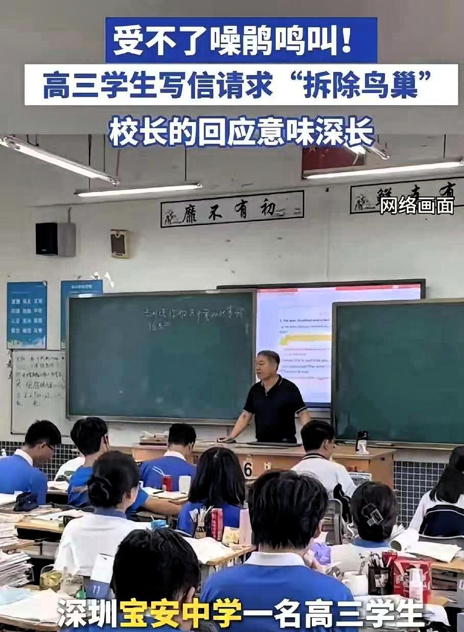 最近，深圳宝安中学有个高三学生，因为学校里的噪鹃鸟整天叫个不停，实在受不了，就写