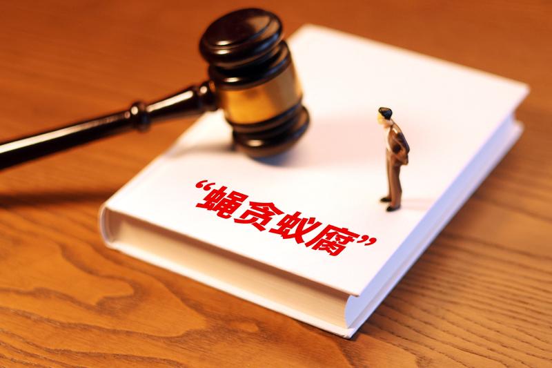 2025年，中纪委持续发力惩治“蝇贪蚁腐”，这是持续深化整治群众身边不正之风和腐