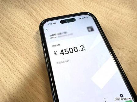 湖北，35 岁杨某上门做客，装作乖巧懂事博取好感，暗中记下准婆婆手机锁屏和支付密