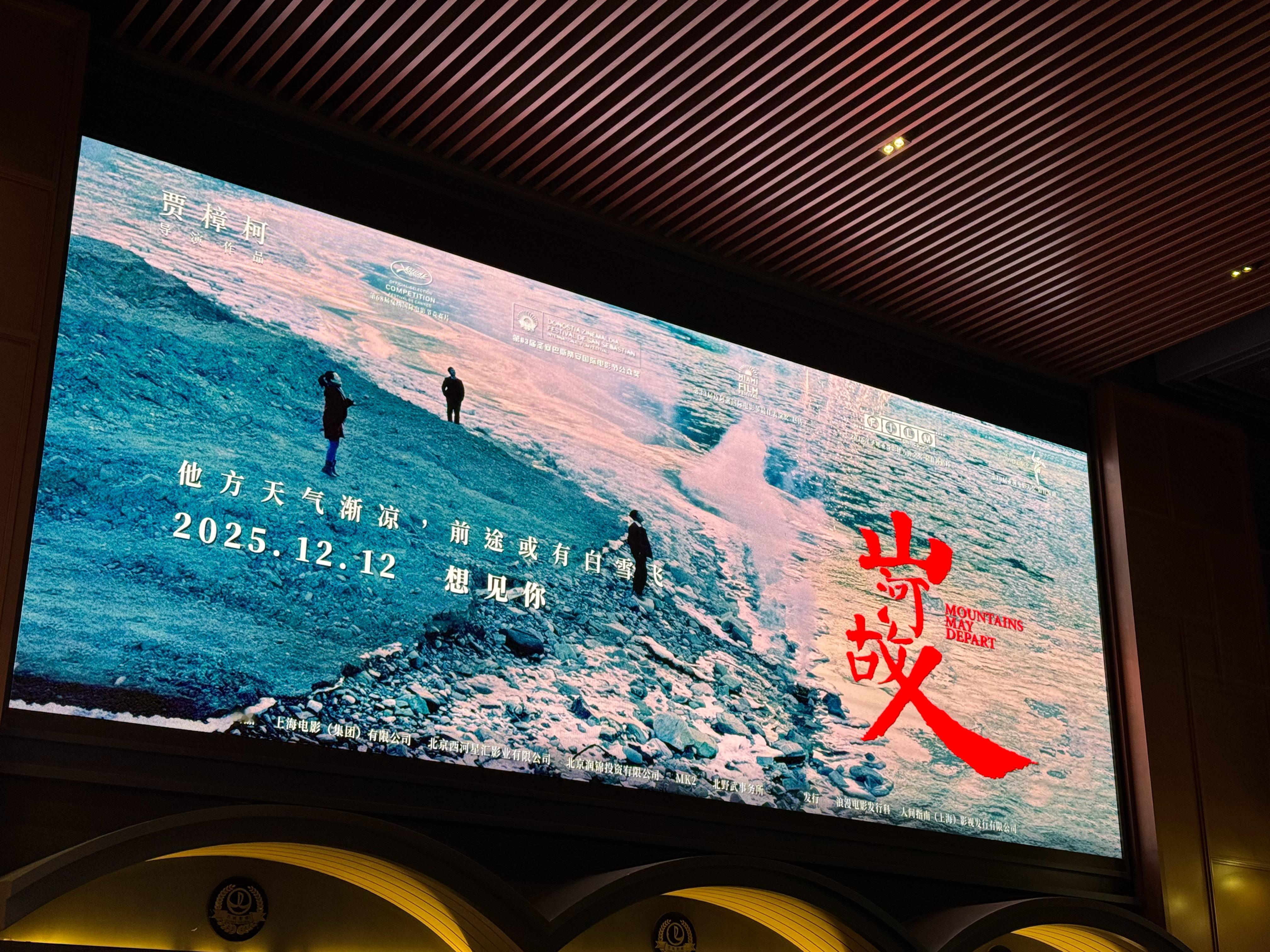 初雪时分，来看《山河故人》❄️❄️跨年电影愿