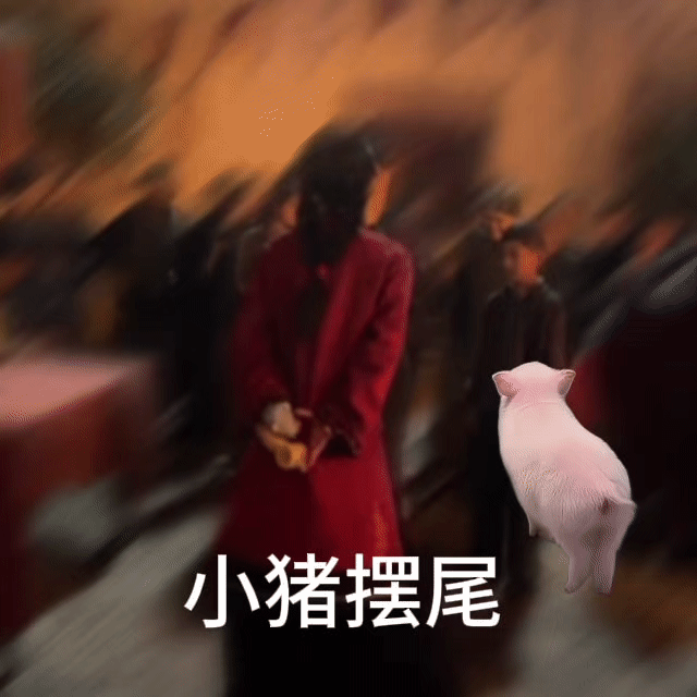 小猪摆尾✋🏻🐷🤚🏻鞠婧祎苏绿夏