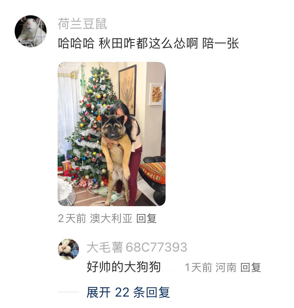 i人在人多的地方拍照be like 