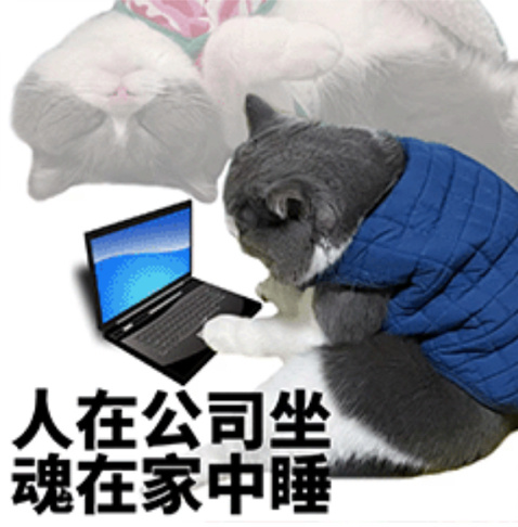 #今天上班只干一件事# 虽然放假，但是感觉没有那么兴奋[允悲]因为没有计划去哪里
