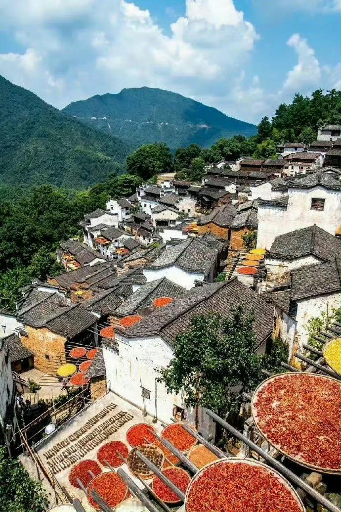 婺源晒秋，成了秋天一道独特的风景。 ​ ​​​