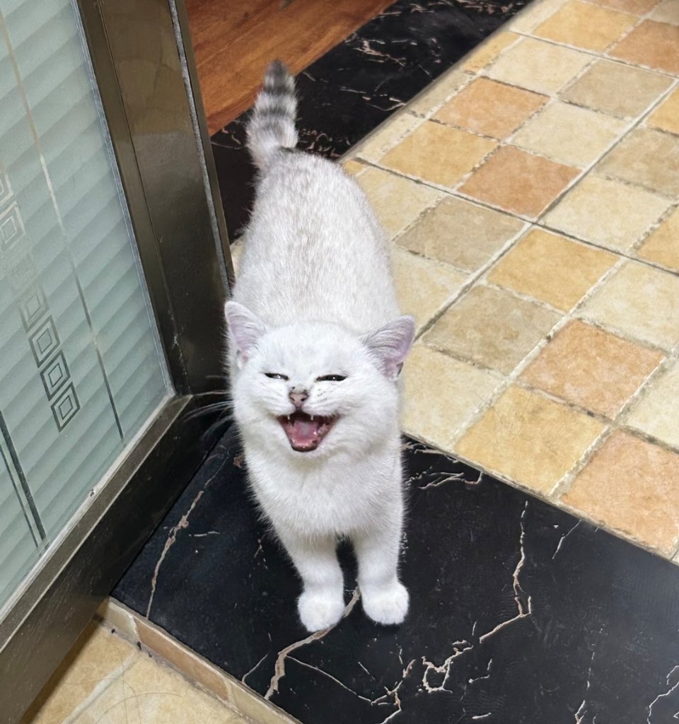 早餐店的服务员：客官，吃点什么啊？ 