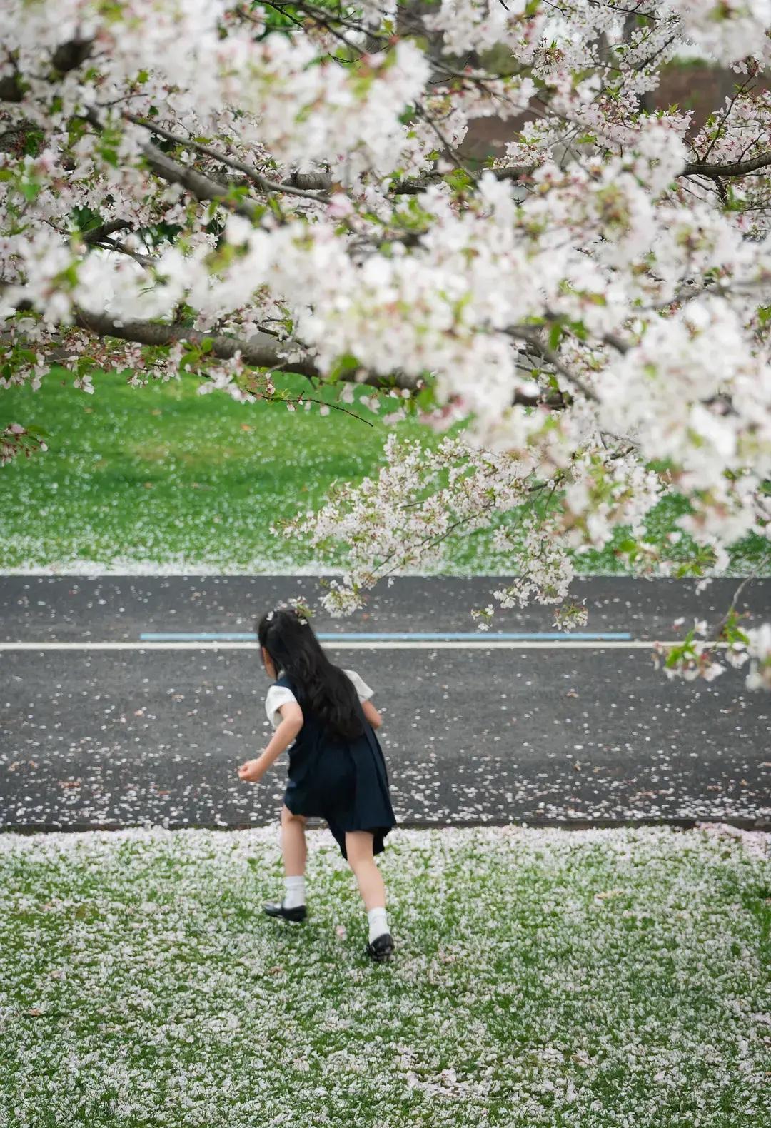建议家长把育娃心力放在这几件事上：

第一，孩子的身心状态，是底线。
长期焦虑、