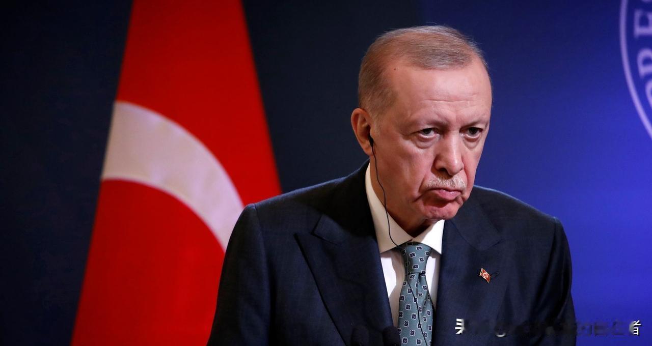 2025年最后一天，埃尔多安签字了，深夜发的总统令，谁也没想到啊，2026年1月