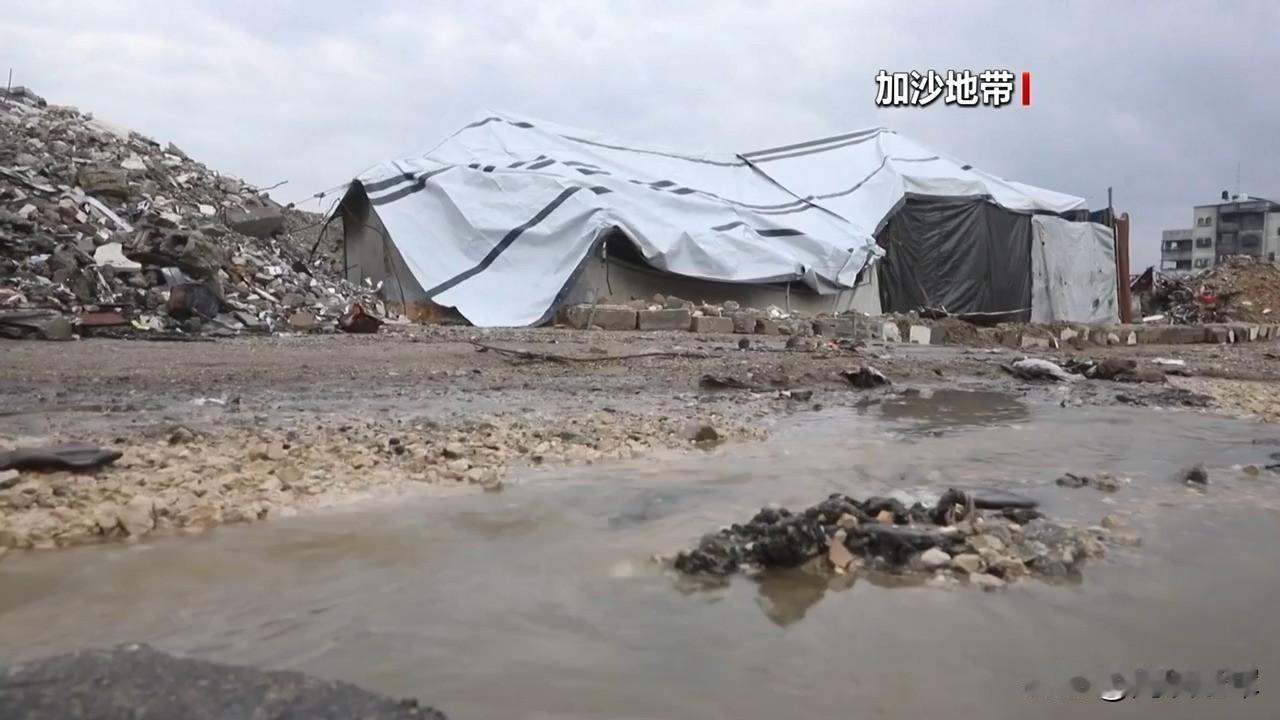 以方80天内违反停火协议近千次。加沙地带媒体办公室发表声明，谴责以色列在本轮停火