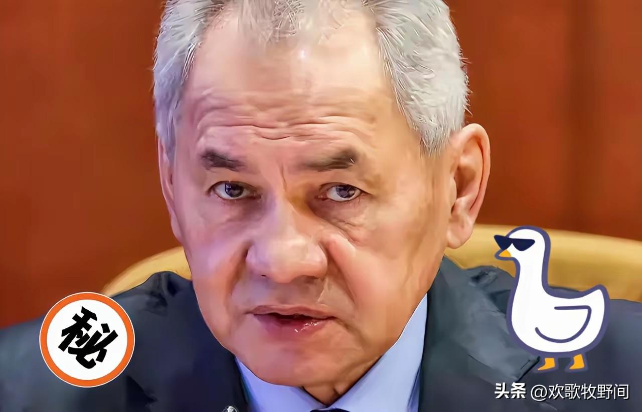 俄罗斯联邦安全会议秘书、前防长谢尔盖・绍伊古当地时间3月17日警告称，鉴于乌克兰