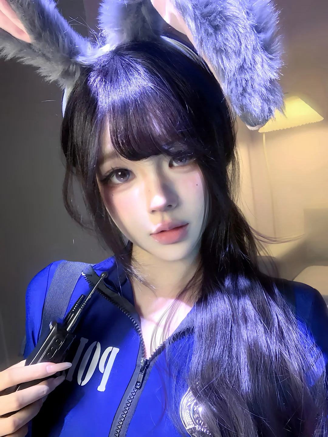 兔子警官