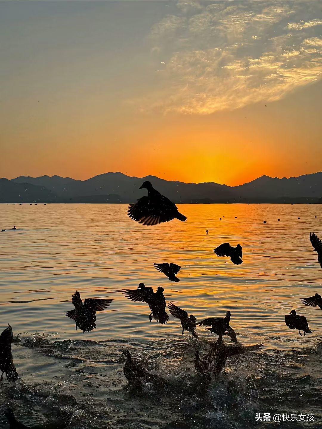 人活一辈子，金钱与健康，哪个重要