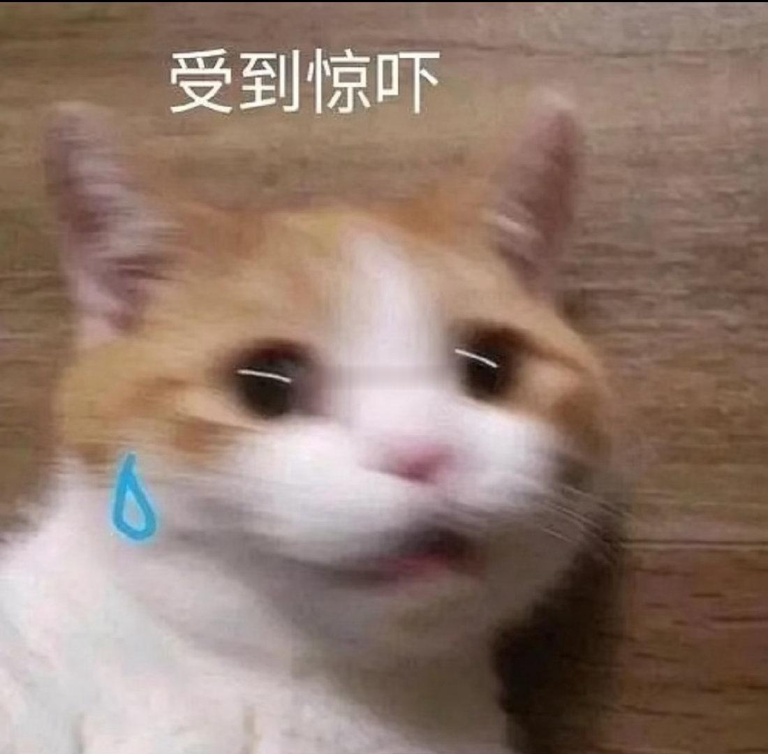 刷到个帖子说1️⃣护人员，大多数戾气重，一堆人攻击说什么无所谓了，只是看到这样挺