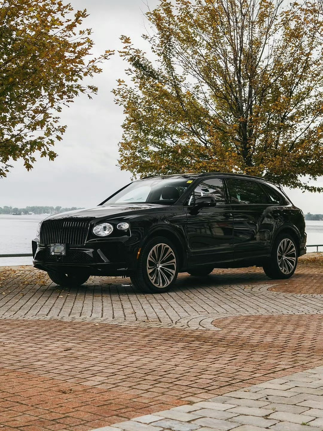宾利 Bentayga[色][色] ​​​