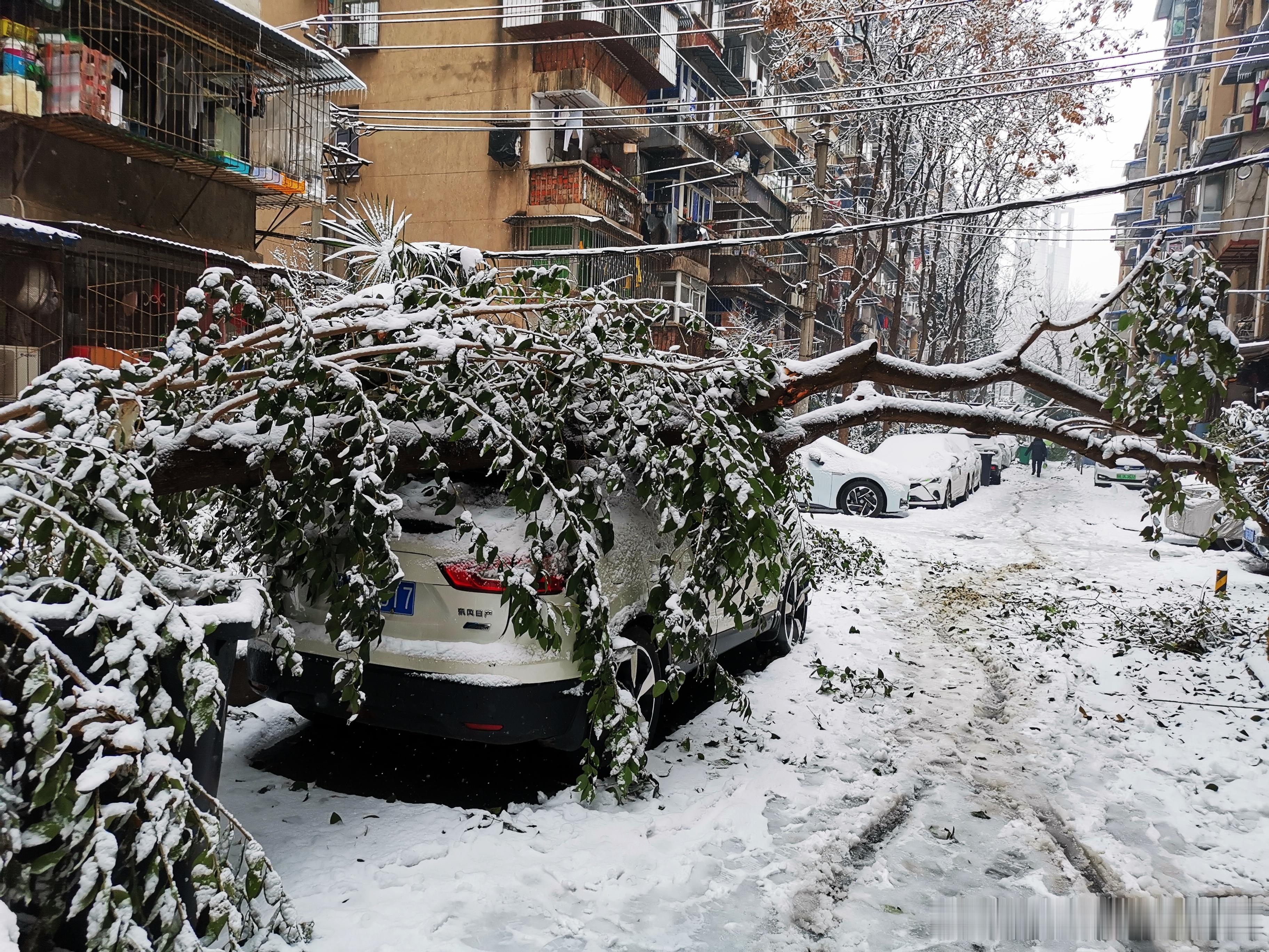 #武汉暴雪##武汉冻雨#  武汉冻雨加暴雪         3号下午开始下雪，晚
