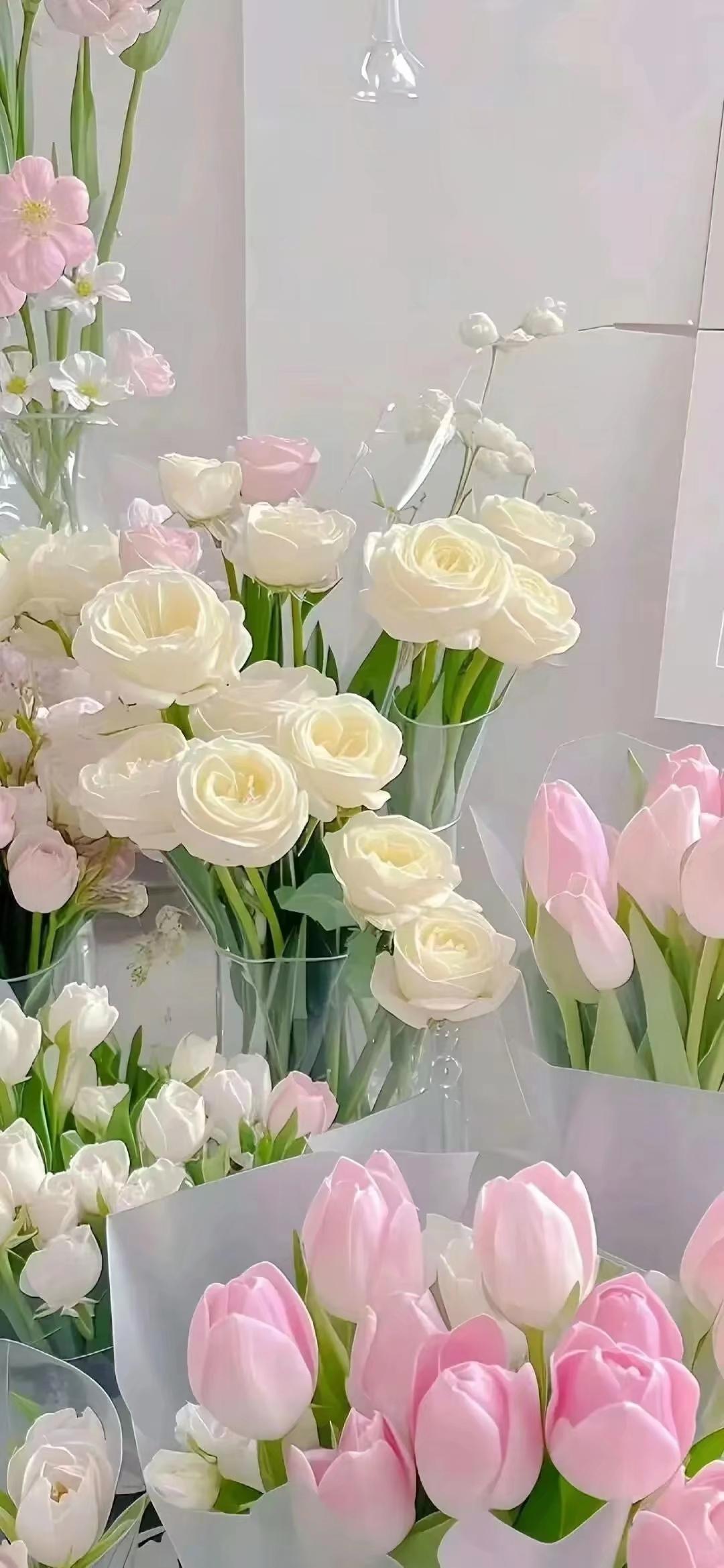 分享一张随手拍