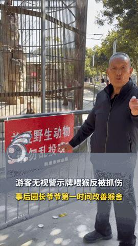 游客喂猴被抓伤还索赔，园长爷爷凌晨改猴舍的操作把人看哭了！
 
你敢信？游客自己