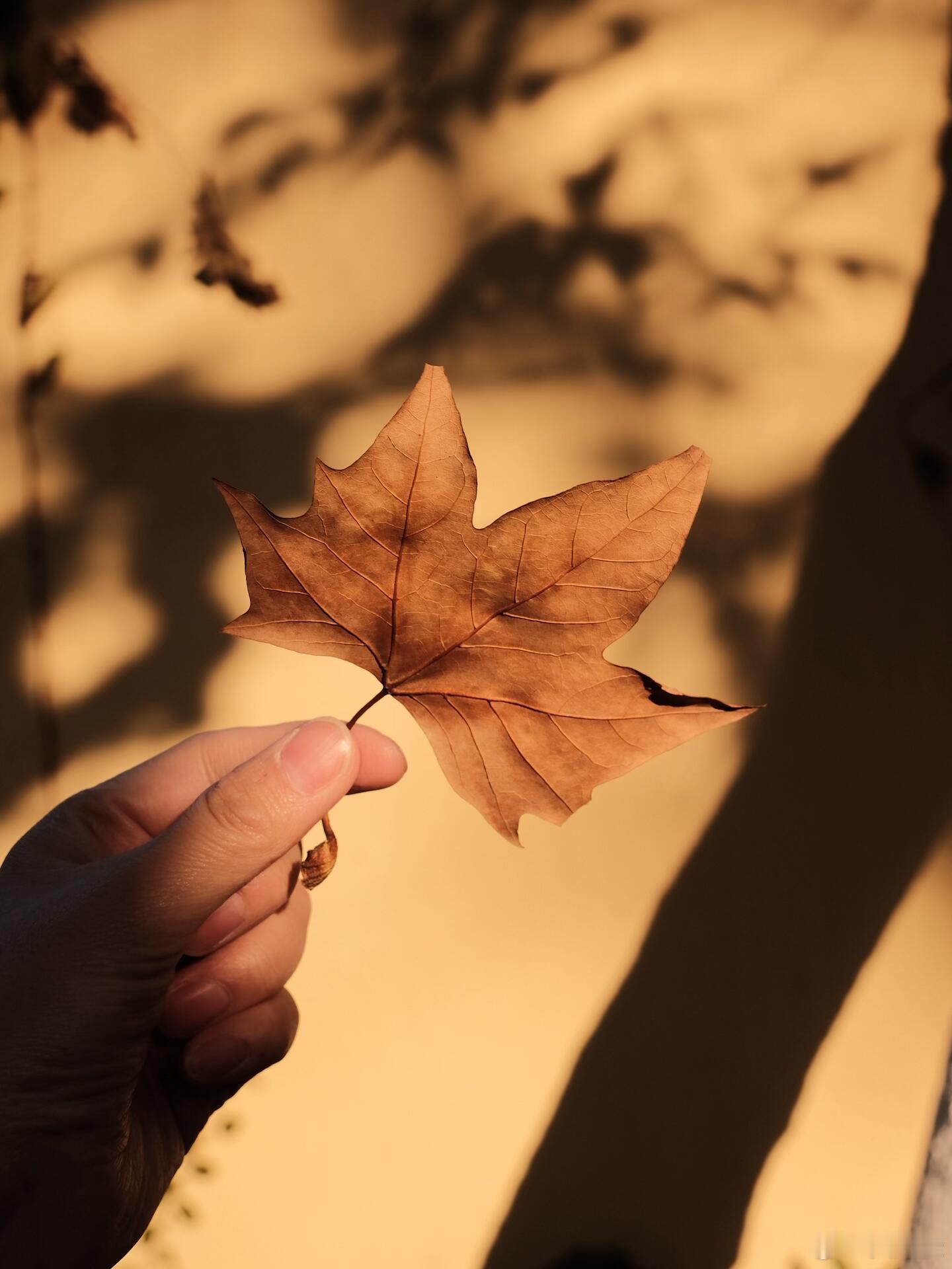 当你喜欢一个人的时候 就多朝他走几步 但当你发现他没有迎接你的意思 你必须停下来