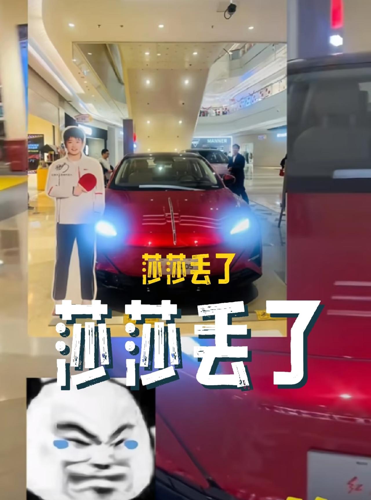 都知道喜欢莎莎，没想到还有人做这么离谱的事情。
莎莎代言的红旗汽车，作为宣传，车