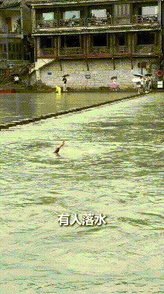 上人民日报了！凤凰古城，女游客意外落水，不会游泳在江中拼命挣扎，岸边围观群众大喊