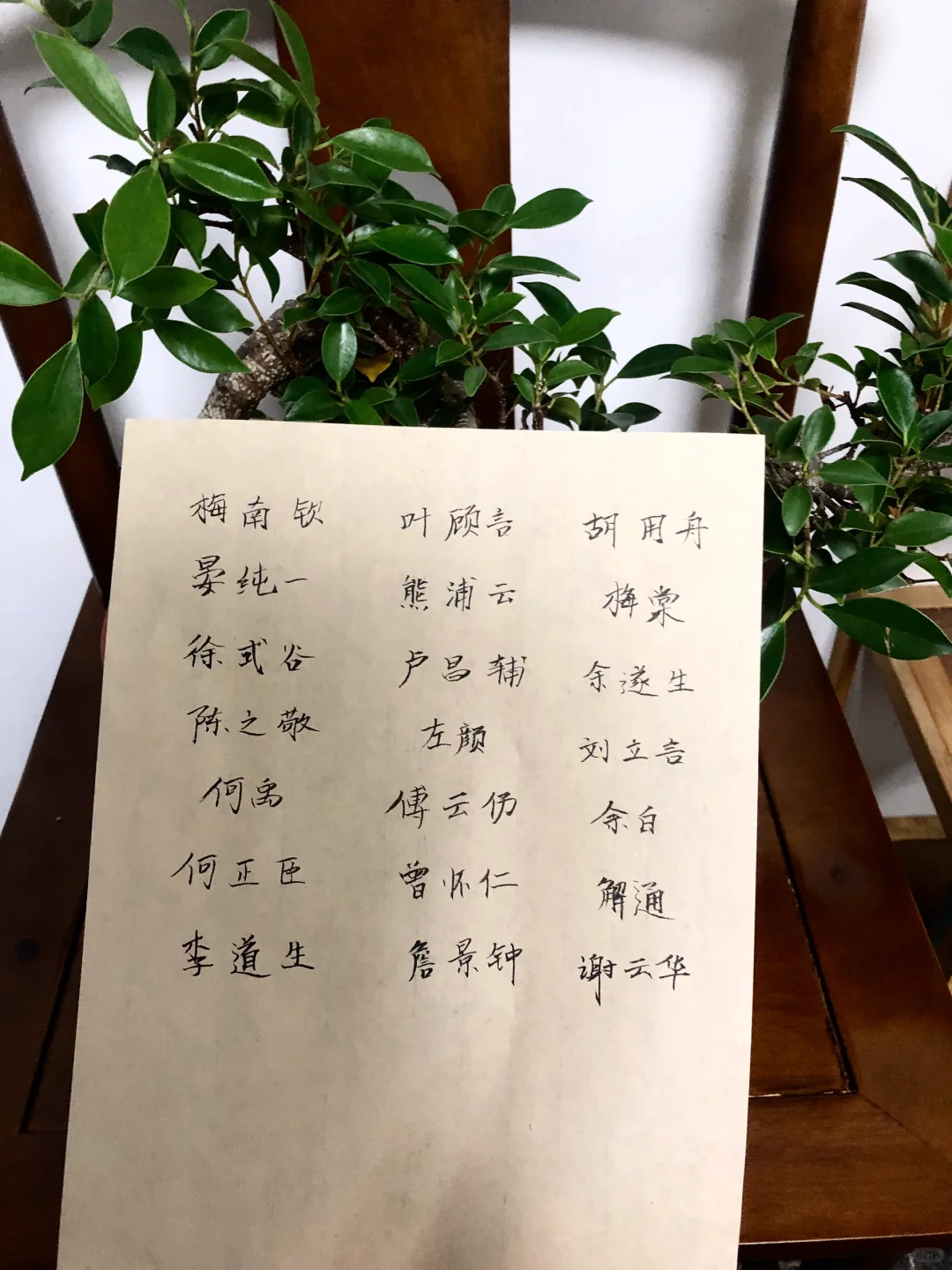 奶奶整理一些古代进士名字，确实惊艳