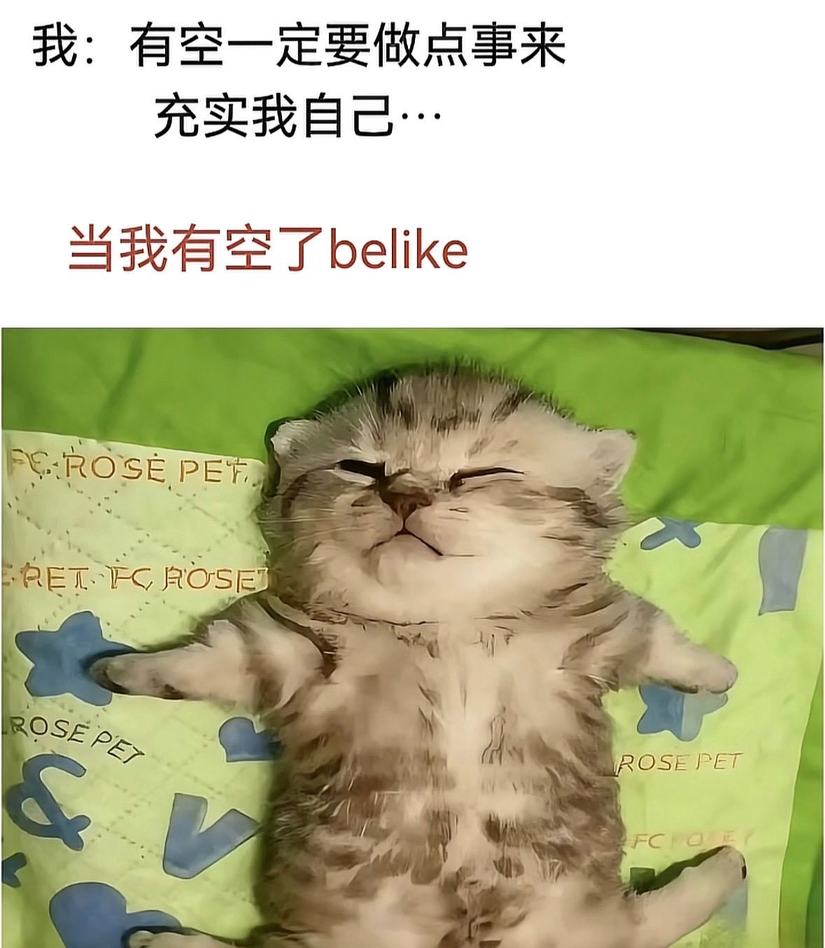 一定要睡个天昏地暗