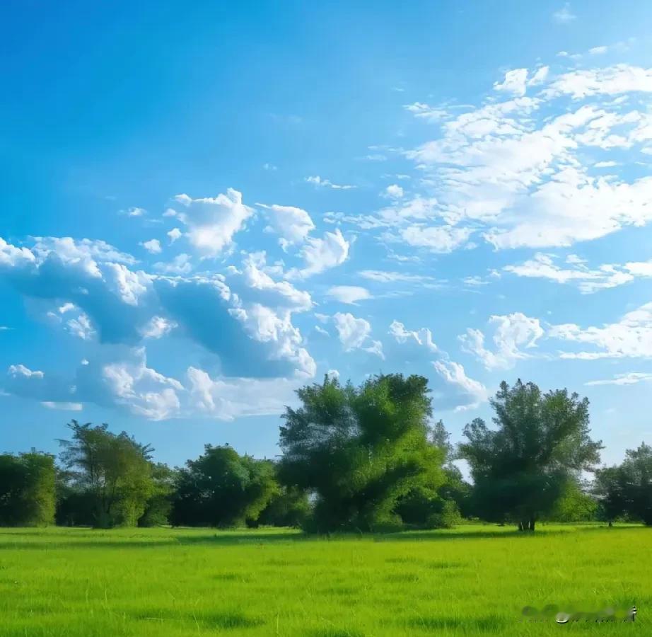 
在这浮华尘世，
愿以一纸素笺，
书写那些被岁月雕琢的高级瞬间，
让心灵得以栖息